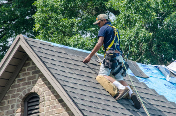 Best Affordable Roofing Company  in Owensboro, KY